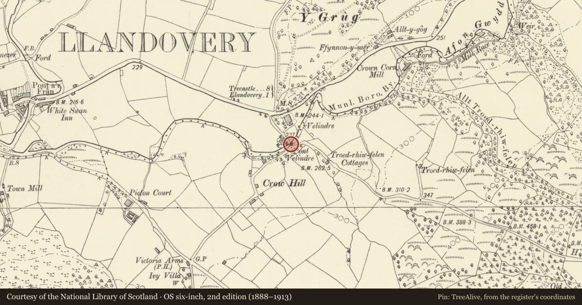 Ordnance Survey six-inch map, 2nd edition (1888–1913) covering the location of Pont Felindre, Llandovery, Carmarthenshire, with a pin at the register's coordinates