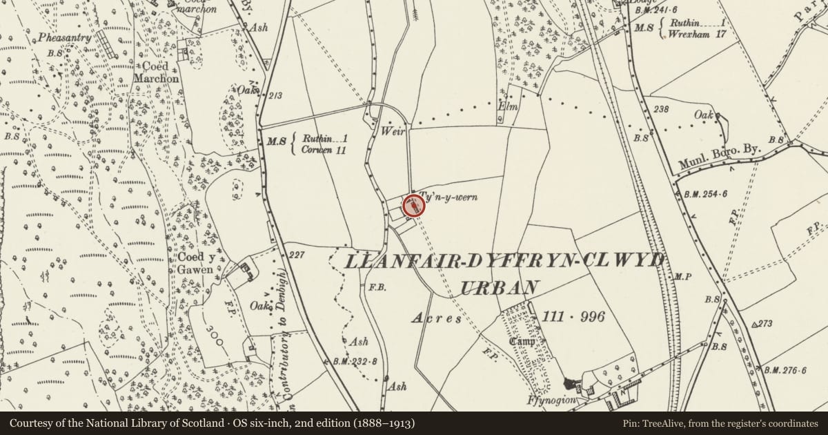 Ordnance Survey six-inch map, 2nd edition (1888–1913) covering the location of Outbuilding (former cart-shed), E side of farmyard, Ty'n y Wern, Ruthin, Denbighshire, with a pin at the register's coordinates
