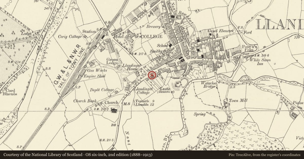 Ordnance Survey six-inch map, 2nd edition (1888–1913) covering the location of Tancoed, Llandovery, Carmarthenshire, with a pin at the register's coordinates