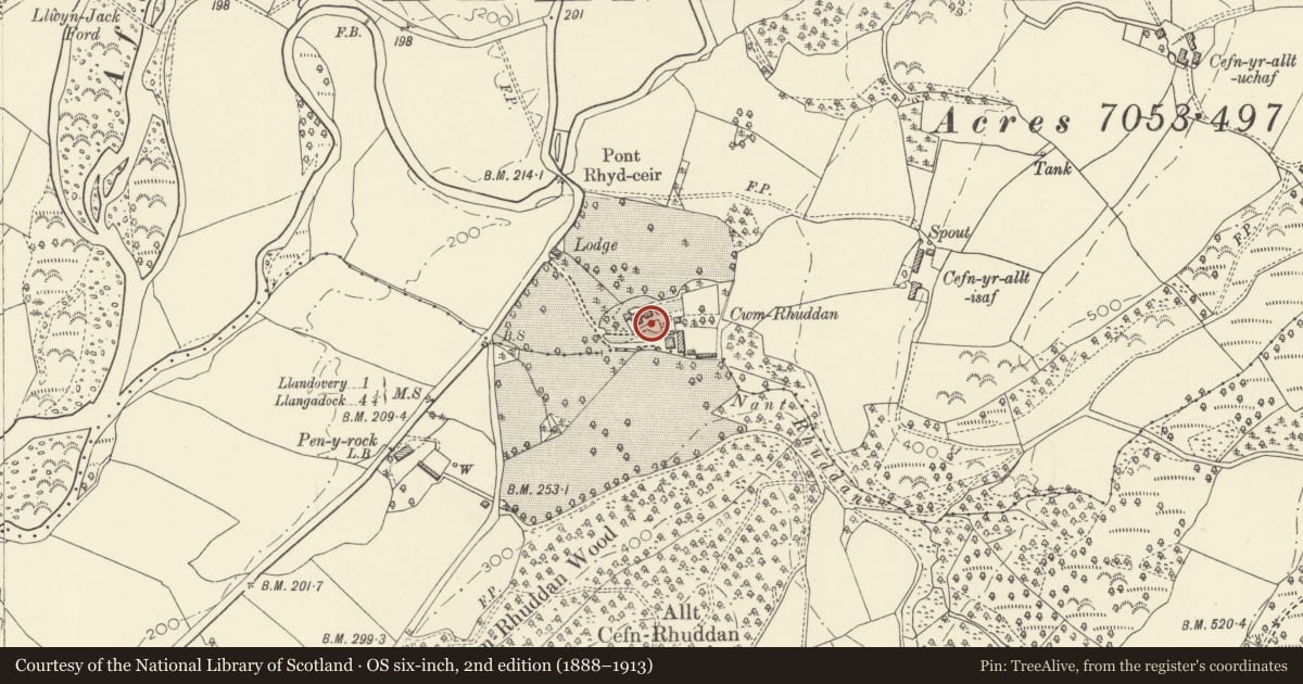 Ordnance Survey six-inch map, 2nd edition (1888–1913) covering the location of Terrace walls and balustrades at Cwm Rhuddan, Llandovery, Carmarthenshire, with a pin at the register's coordinates