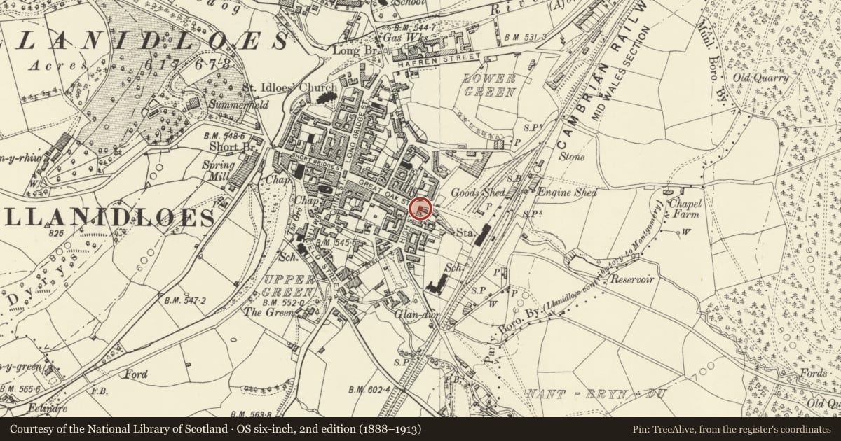 Ordnance Survey six-inch map, 2nd edition (1888–1913) covering the location of Oakview including Bethany Books, Llanidloes, Powys, with a pin at the register's coordinates