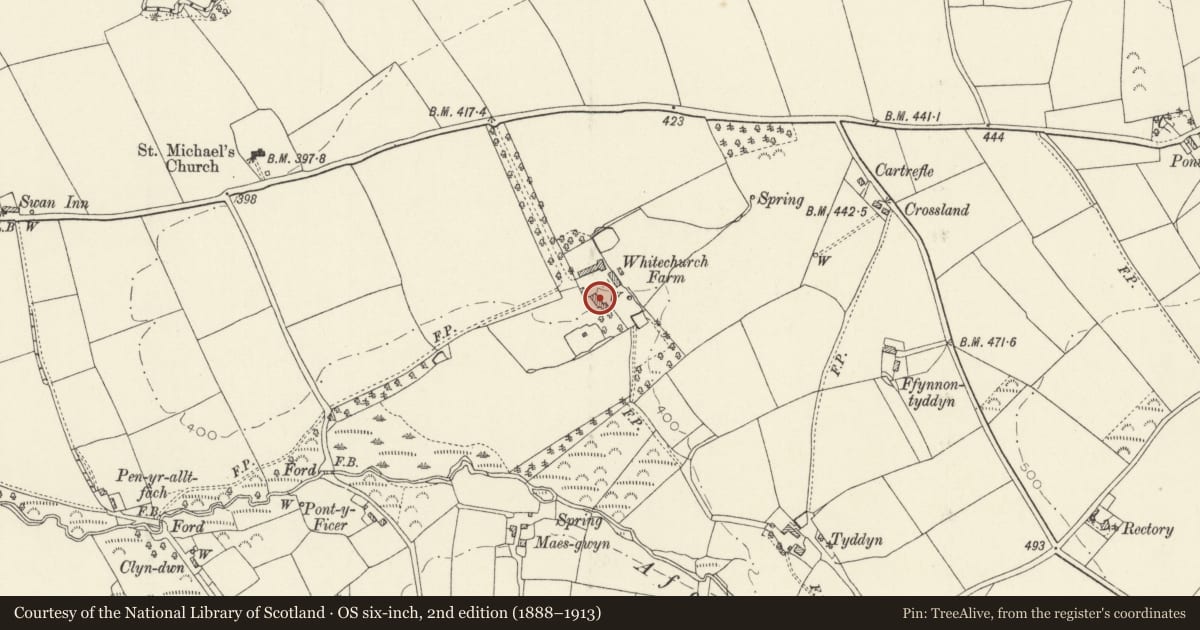 Ordnance Survey six-inch map, 2nd edition (1888–1913) covering the location of Plas Whitchurch, Crymych, Pembrokeshire, with a pin at the register's coordinates