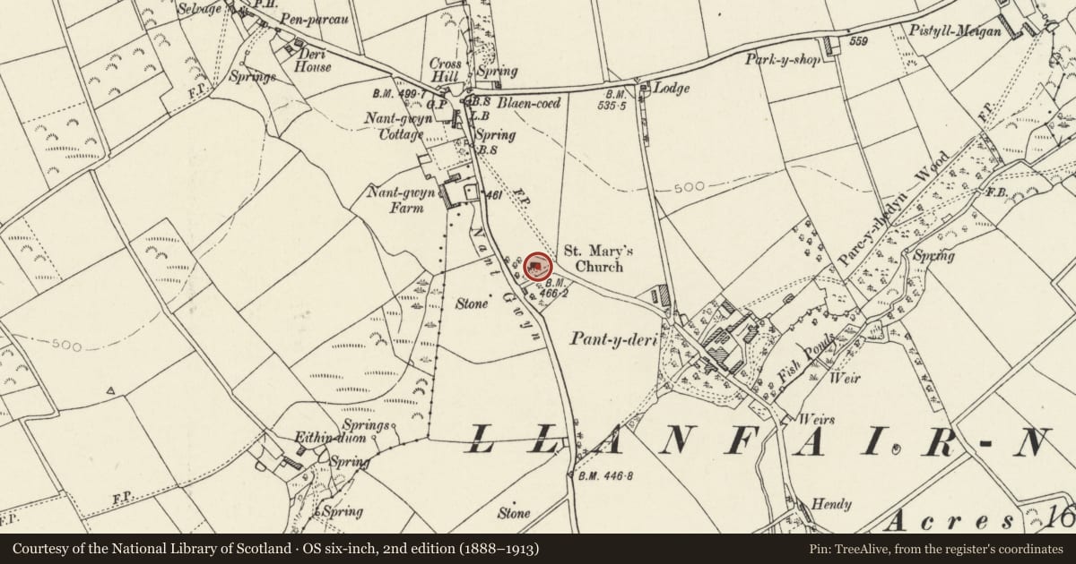 Ordnance Survey six-inch map, 2nd edition (1888–1913) covering the location of Church of Saint Mary, Crymych, Pembrokeshire, with a pin at the register's coordinates