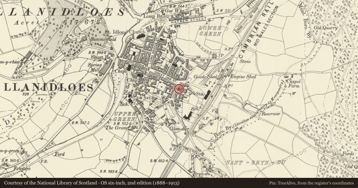 Ordnance Survey six-inch map, 2nd edition (1888–1913) covering the location of Llinos Hair Salon, Llanidloes, Powys, with a pin at the register's coordinates
