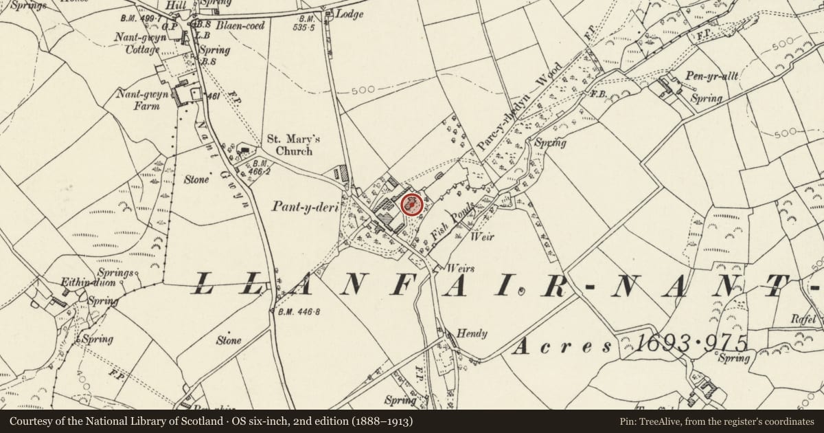 Ordnance Survey six-inch map, 2nd edition (1888–1913) covering the location of Pant y Deri, Crymych, Pembrokeshire, with a pin at the register's coordinates