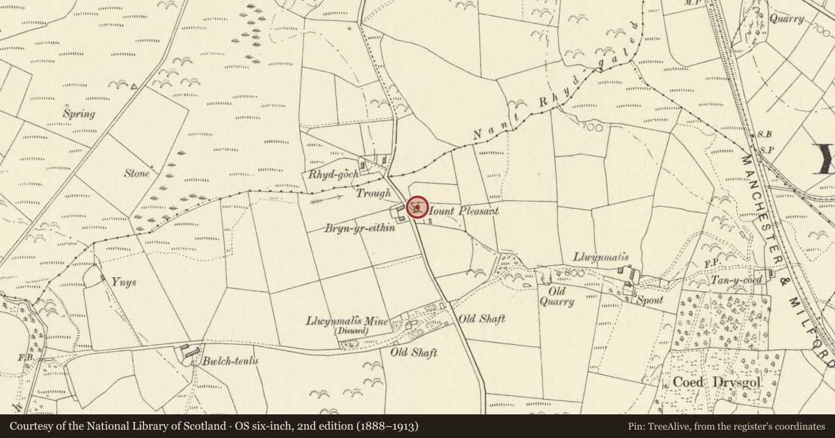 Ordnance Survey six-inch map, 2nd edition (1888–1913) covering the location of Bryn Hyfryd, Ystrad Meurig, Ceredigion, with a pin at the register's coordinates