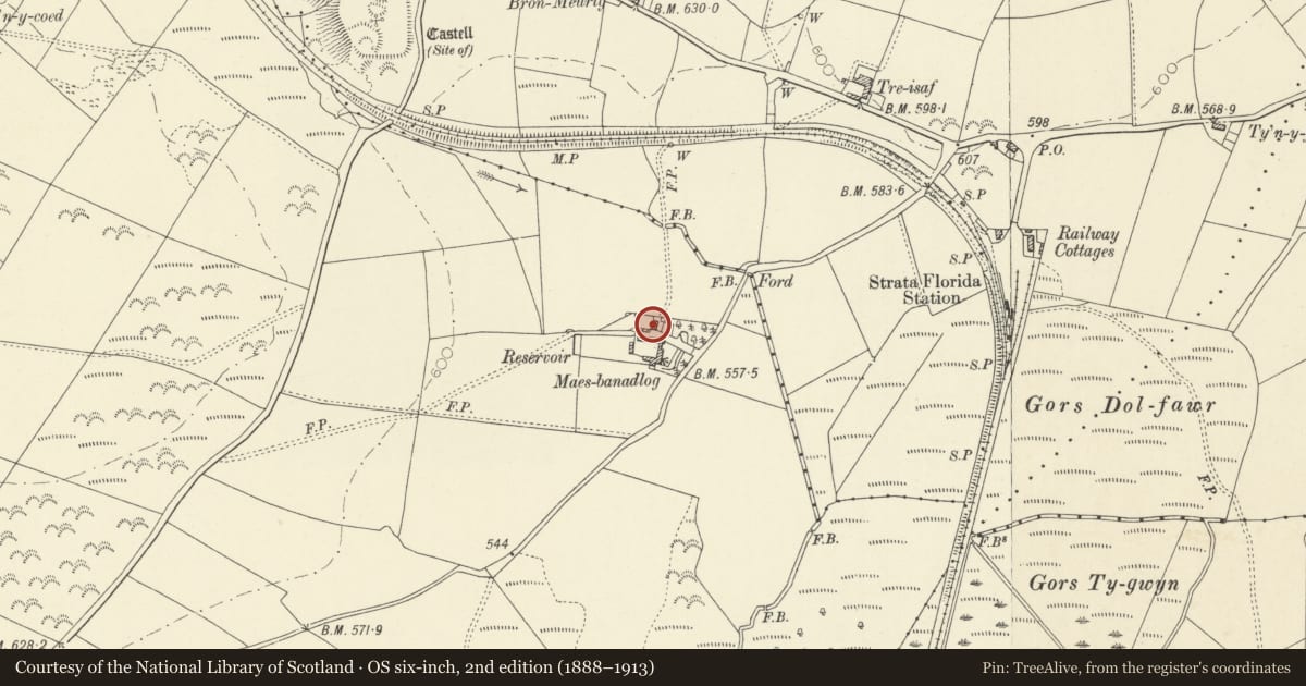 Ordnance Survey six-inch map, 2nd edition (1888–1913) covering the location of Maesbanadlog, Ystrad Meurig, Ceredigion, with a pin at the register's coordinates