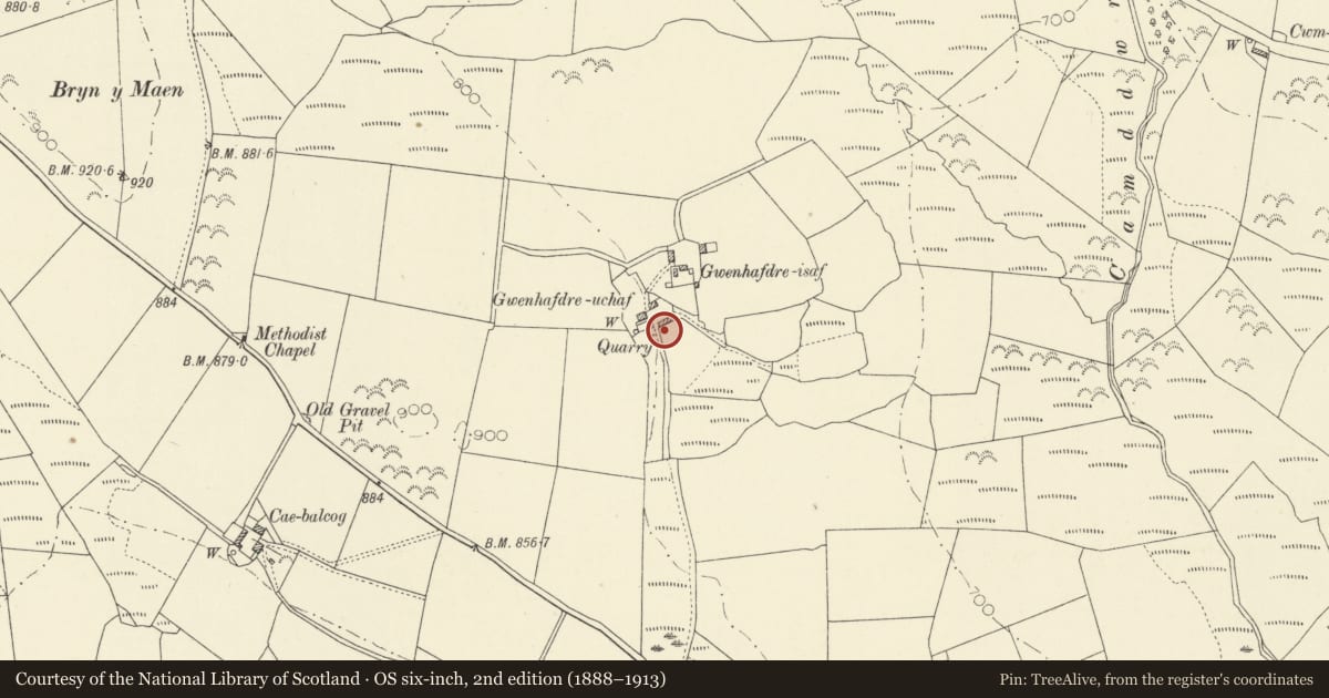 Ordnance Survey six-inch map, 2nd edition (1888–1913) covering the location of St. Brigid's Well at Gwenhafdre Isaf, Ystrad Meurig, Ceredigion, with a pin at the register's coordinates
