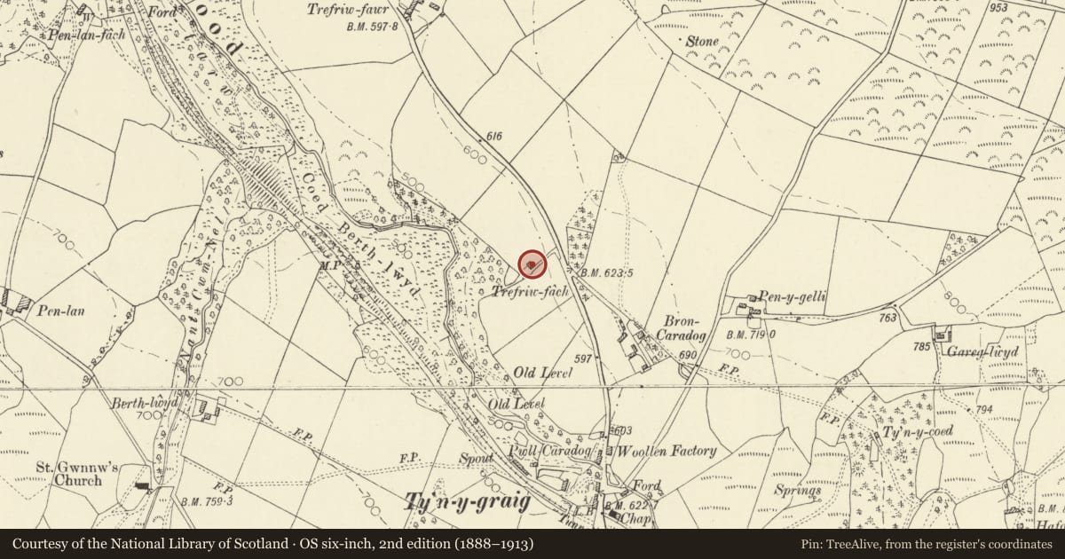 Ordnance Survey six-inch map, 2nd edition (1888–1913) covering the location of Trefiw Fach, Ystrad Meurig, Ceredigion, with a pin at the register's coordinates