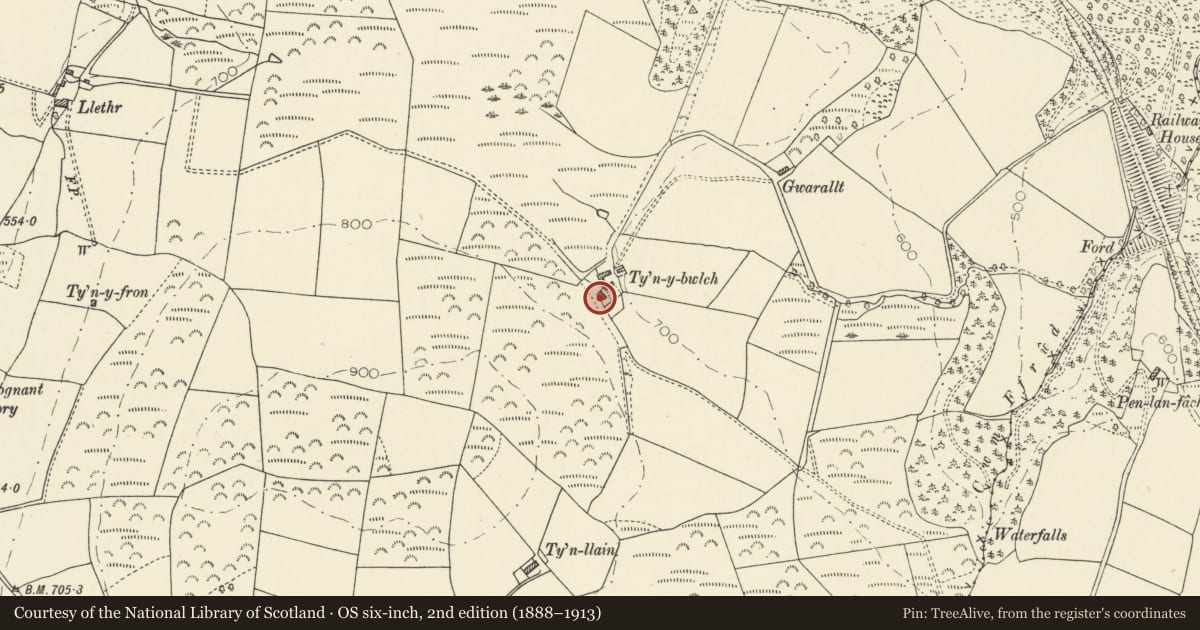Ordnance Survey six-inch map, 2nd edition (1888–1913) covering the location of Ty'n-y-bwlch, Ystrad Meurig, Ceredigion, with a pin at the register's coordinates