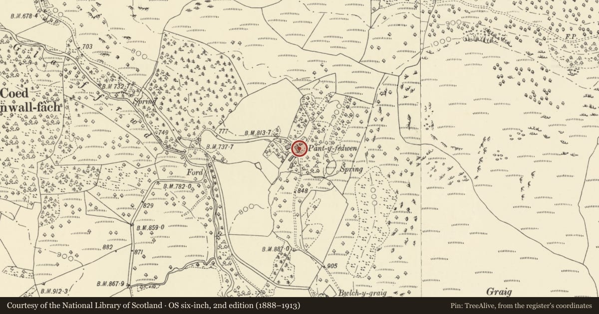 Ordnance Survey six-inch map, 2nd edition (1888–1913) covering the location of Coach-house at Pantyfedwen, Ystrad Fflur, Ceredigion, with a pin at the register's coordinates
