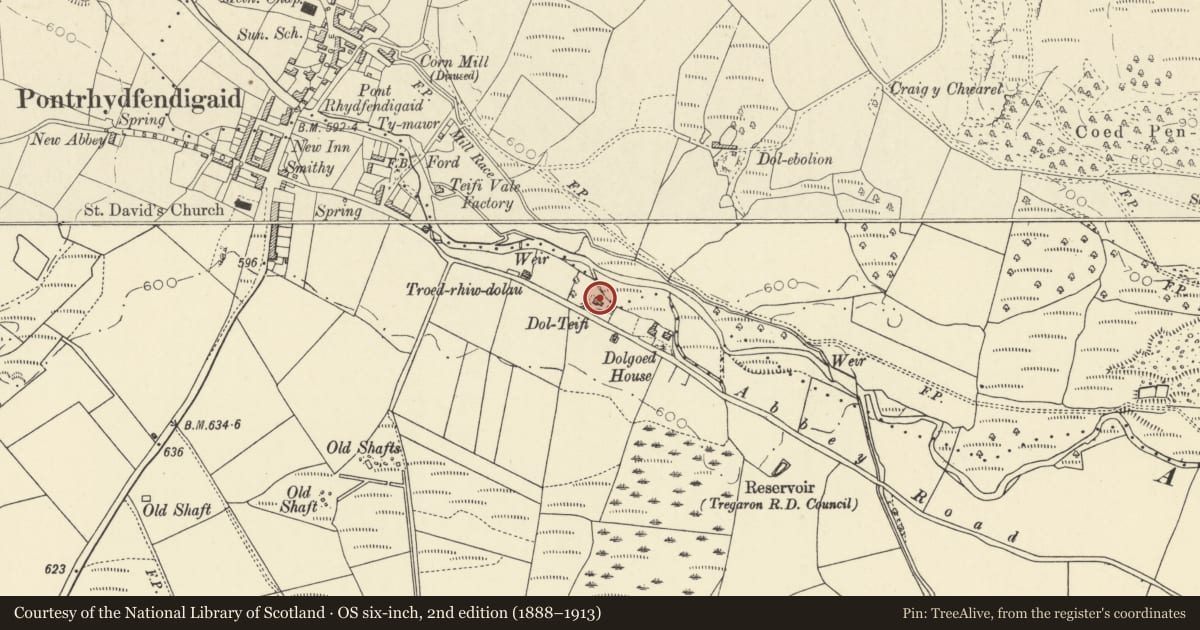 Ordnance Survey six-inch map, 2nd edition (1888–1913) covering the location of Dol Teifi, Ystrad Fflur, Ceredigion, with a pin at the register's coordinates