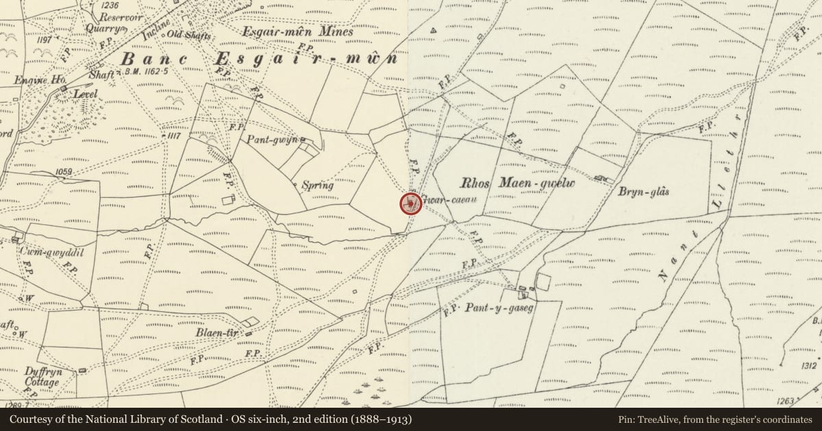 Ordnance Survey six-inch map, 2nd edition (1888–1913) covering the location of Gwar Caeau, Ystrad Fflur, Ceredigion, with a pin at the register's coordinates