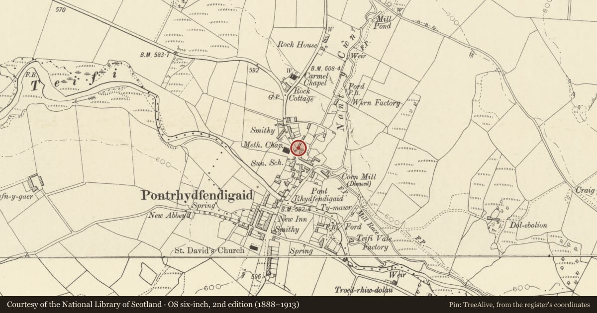 Ordnance Survey six-inch map, 2nd edition (1888–1913) covering the location of Islwyn, Ystrad Fflur, Ceredigion, with a pin at the register's coordinates