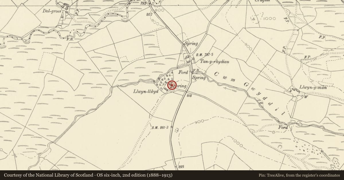 Ordnance Survey six-inch map, 2nd edition (1888–1913) covering the location of Llwyn Llwyd, Ystrad Fflur, Ceredigion, with a pin at the register's coordinates