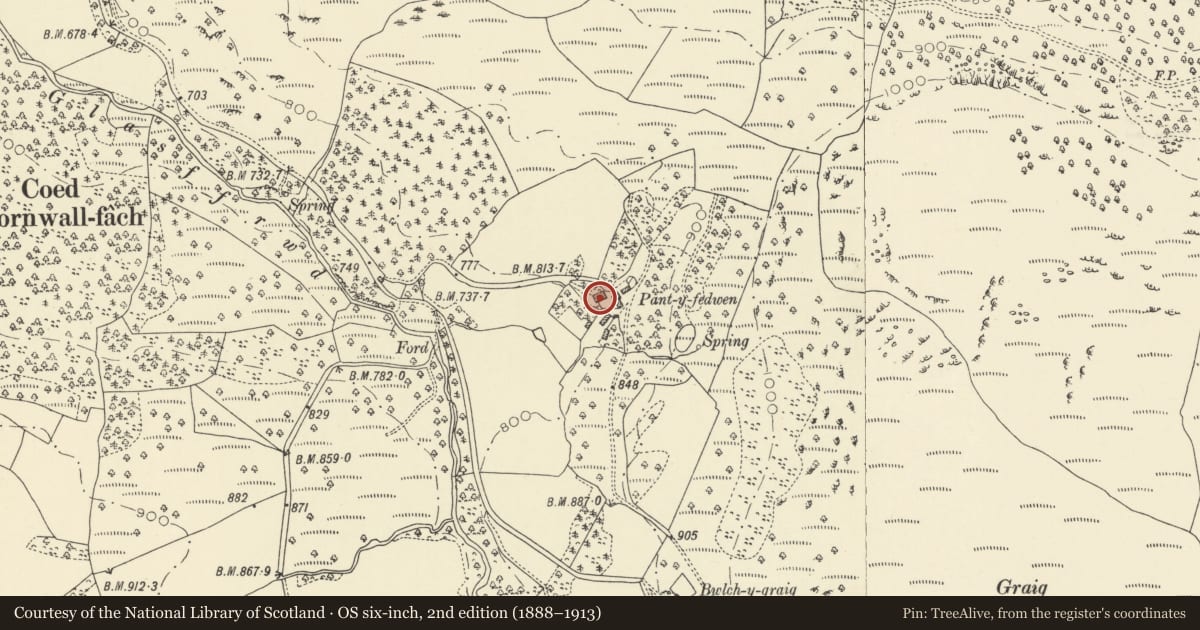 Ordnance Survey six-inch map, 2nd edition (1888–1913) covering the location of Pantyfedwen, Ystrad Fflur, Ceredigion, with a pin at the register's coordinates