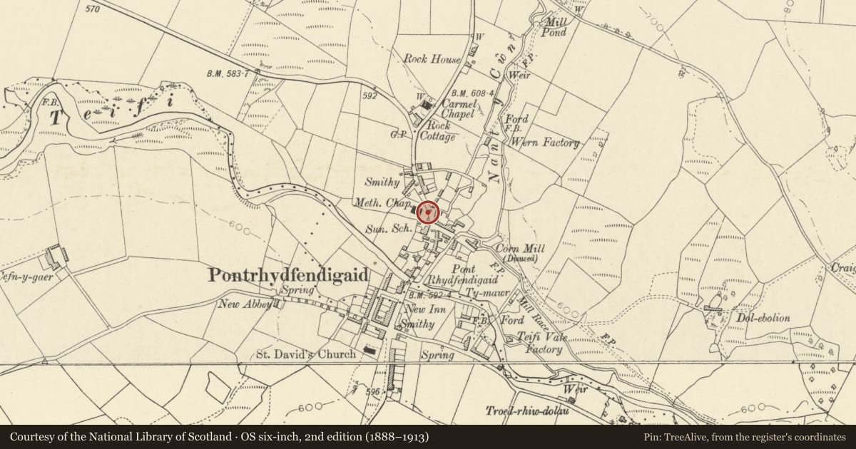 Ordnance Survey six-inch map, 2nd edition (1888–1913) covering the location of Railings to Rhydfendigaid Calvinistic Methodist chapel, Ystrad Fflur, Ceredigion, with a pin at the register's coordinates