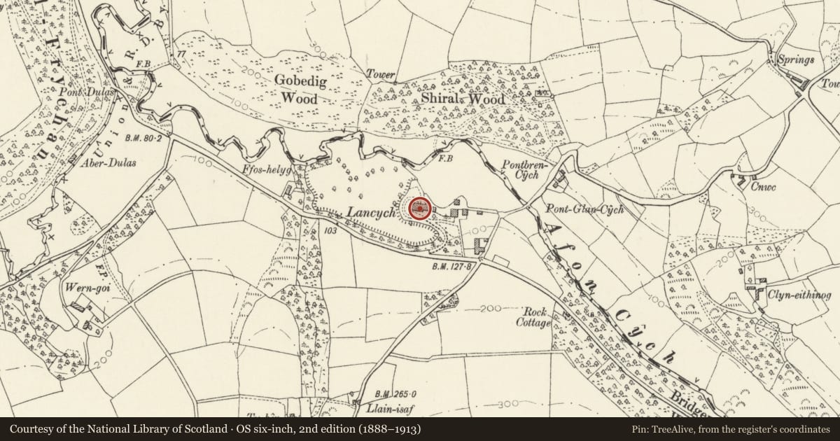 Ordnance Survey six-inch map, 2nd edition (1888–1913) covering the location of Lancych, Clydau, Pembrokeshire, with a pin at the register's coordinates