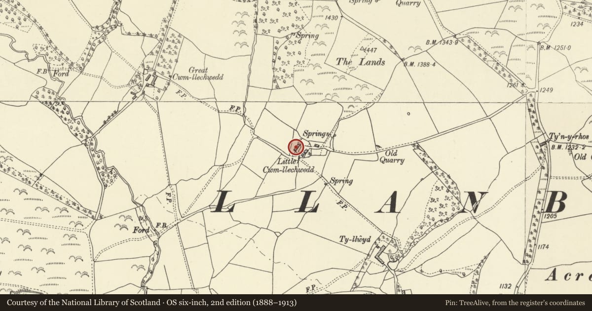 Ordnance Survey six-inch map, 2nd edition (1888–1913) covering the location of Little Cwm Llechwedd, including attached cow house, Llanbister, Powys, with a pin at the register's coordinates