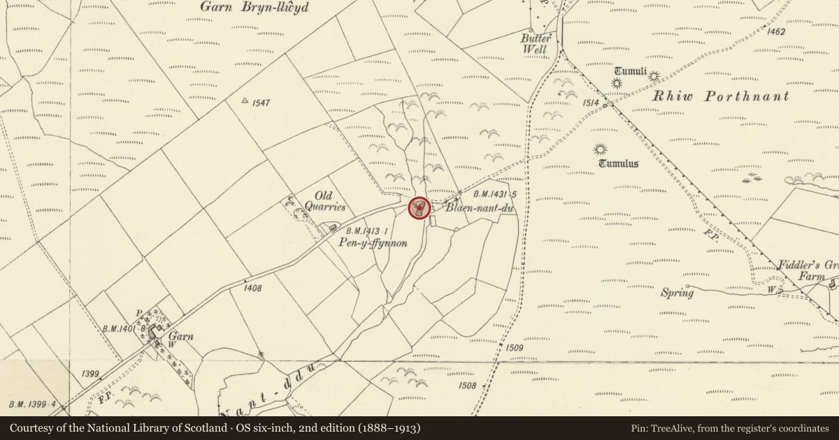 Ordnance Survey six-inch map, 2nd edition (1888–1913) covering the location of Blaen-nant-du, including attached farm ranges, Llanbadarn Fynydd, Powys, with a pin at the register's coordinates