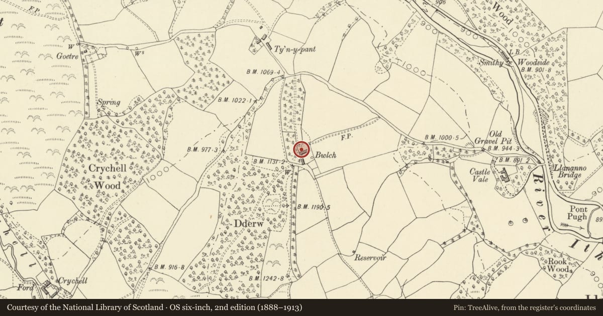 Ordnance Survey six-inch map, 2nd edition (1888–1913) covering the location of Bwlch Farmhouse, including attached farm range, Llanbadarn Fynydd, Powys, with a pin at the register's coordinates
