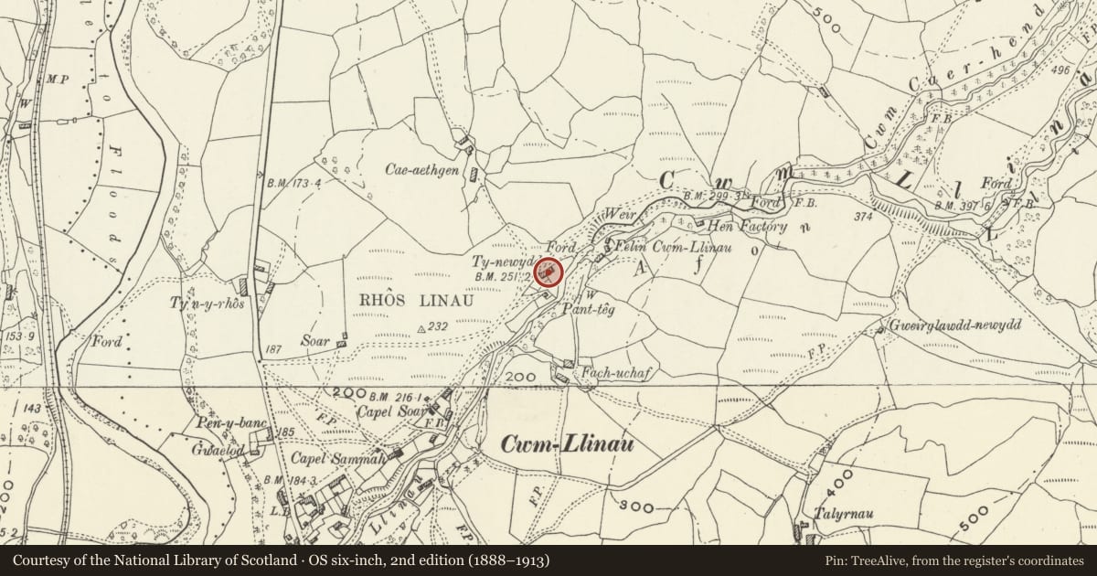 Ordnance Survey six-inch map, 2nd edition (1888–1913) covering the location of 1 Ty Newydd, Glantwymyn, Powys, with a pin at the register's coordinates