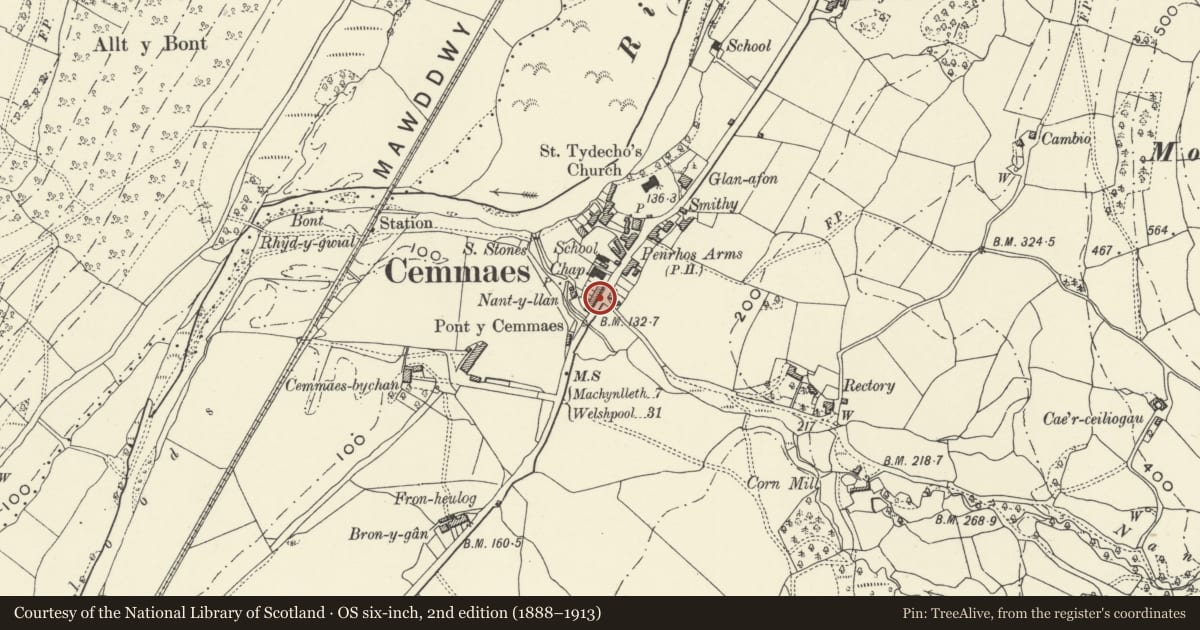 Ordnance Survey six-inch map, 2nd edition (1888–1913) covering the location of Arfryn, Glantwymyn, Powys, with a pin at the register's coordinates