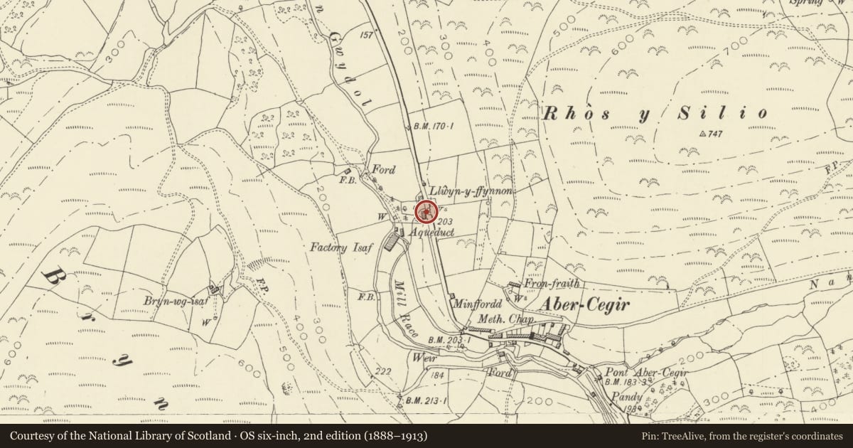 Ordnance Survey six-inch map, 2nd edition (1888–1913) covering the location of Barn adjacent to Llwyn y Ffynnon, Glantwymyn, Powys, with a pin at the register's coordinates