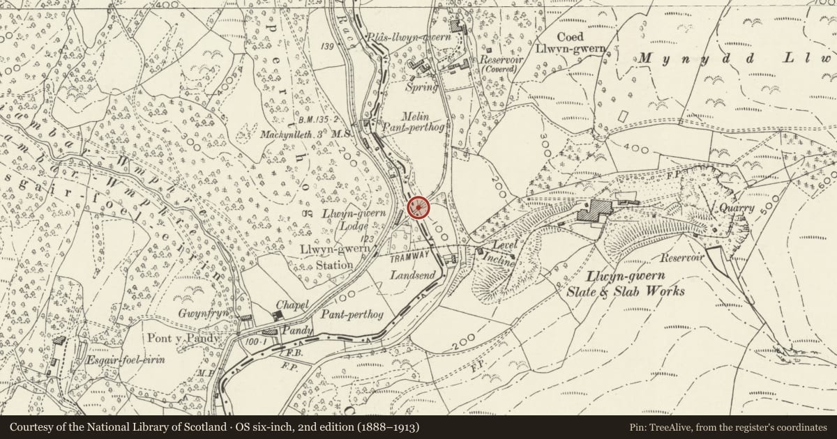 Ordnance Survey six-inch map, 2nd edition (1888–1913) covering the location of Pont Llwyngwern (partly in Corris Community), Glantwymyn, Powys, with a pin at the register's coordinates
