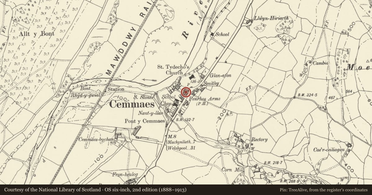 Ordnance Survey six-inch map, 2nd edition (1888–1913) covering the location of Brithonfa, Glantwymyn, Powys, with a pin at the register's coordinates