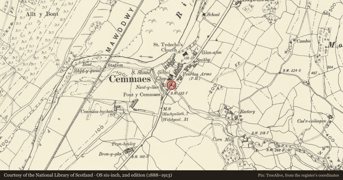 Ordnance Survey six-inch map, 2nd edition (1888–1913) covering the location of Bryn Hyfryd, Glantwymyn, Powys, with a pin at the register's coordinates