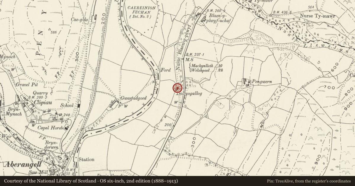 Ordnance Survey six-inch map, 2nd edition (1888–1913) covering the location of Dol Ysgallog, Glantwymyn, Powys, with a pin at the register's coordinates