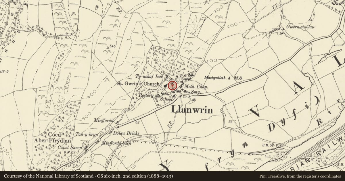 Ordnance Survey six-inch map, 2nd edition (1888–1913) covering the location of Entrance to Church of St Dyfrig, Glantwymyn, Powys, with a pin at the register's coordinates