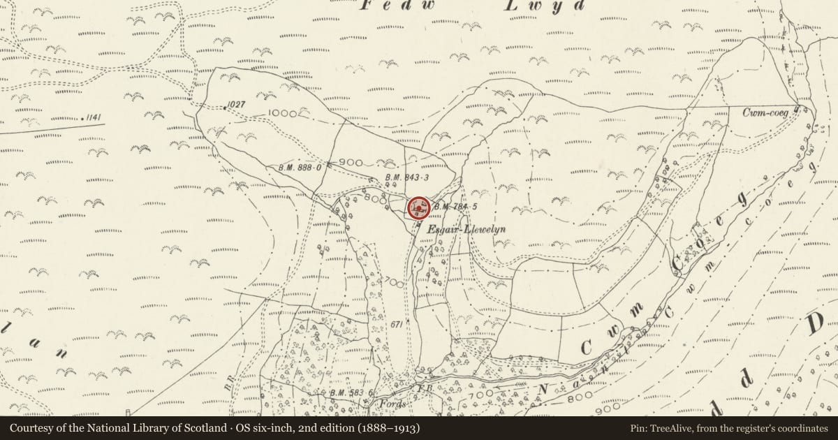 Ordnance Survey six-inch map, 2nd edition (1888–1913) covering the location of Esgair Llewelyn, Glantwymyn, Powys, with a pin at the register's coordinates