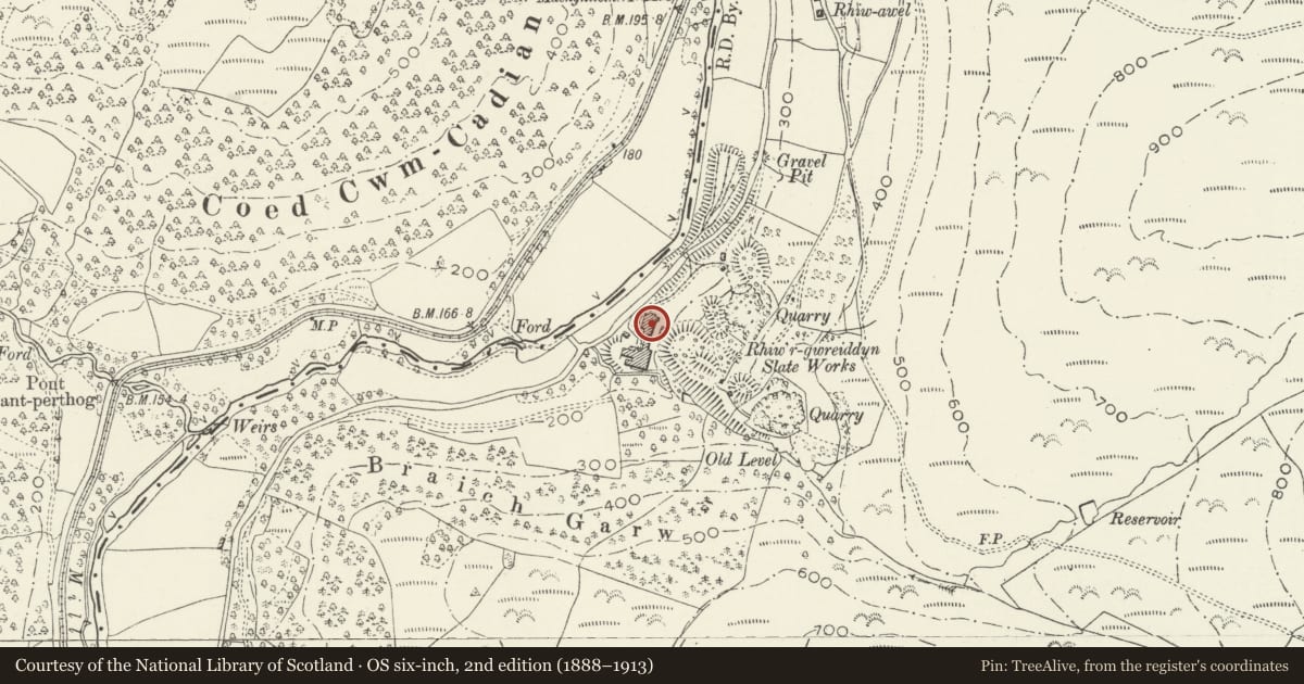 Ordnance Survey six-inch map, 2nd edition (1888–1913) covering the location of Former slate enamelling workshop, Rhiw'r Gwreiddyn, Glantwymyn, Powys, with a pin at the register's coordinates