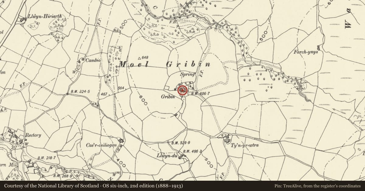 Ordnance Survey six-inch map, 2nd edition (1888–1913) covering the location of Gribin, Glantwymyn, Powys, with a pin at the register's coordinates