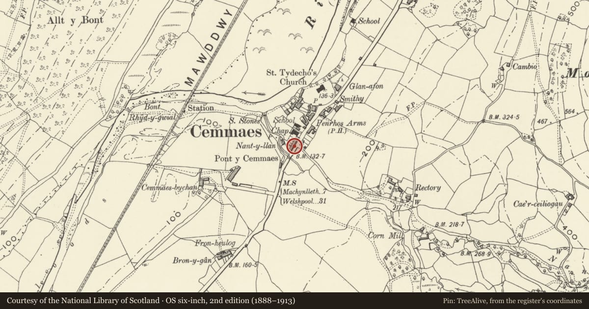 Ordnance Survey six-inch map, 2nd edition (1888–1913) covering the location of Hendre, Glantwymyn, Powys, with a pin at the register's coordinates