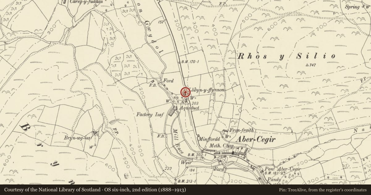 Ordnance Survey six-inch map, 2nd edition (1888–1913) covering the location of Llwyn y Ffynnon, Glantwymyn, Powys, with a pin at the register's coordinates