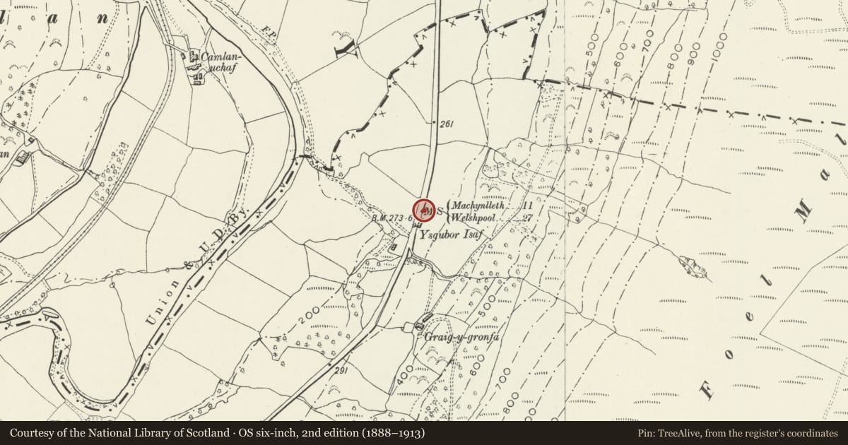 Ordnance Survey six-inch map, 2nd edition (1888–1913) covering the location of Milestone at Craig y Gronfa, Glantwymyn, Powys, with a pin at the register's coordinates