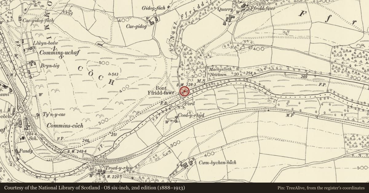 Ordnance Survey six-inch map, 2nd edition (1888–1913) covering the location of Milestone E of Commins Coch, Glantwymyn, Powys, with a pin at the register's coordinates
