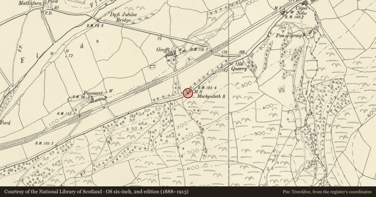 Ordnance Survey six-inch map, 2nd edition (1888–1913) covering the location of Milestone S of Grofft, Glantwymyn, Powys, with a pin at the register's coordinates