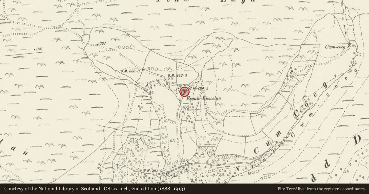 Ordnance Survey six-inch map, 2nd edition (1888–1913) covering the location of Multi-purpose Farm Building at Esgair Llewelyn, Glantwymyn, Powys, with a pin at the register's coordinates