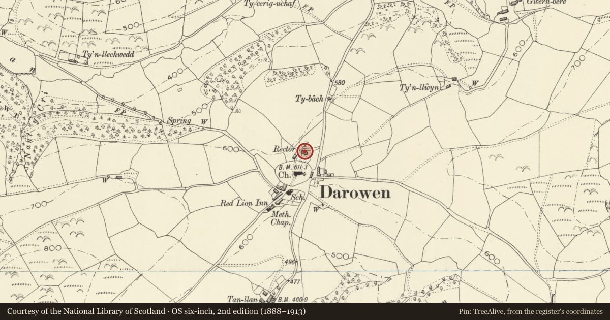 Ordnance Survey six-inch map, 2nd edition (1888–1913) covering the location of Old Rectory, Glantwymyn, Powys, with a pin at the register's coordinates