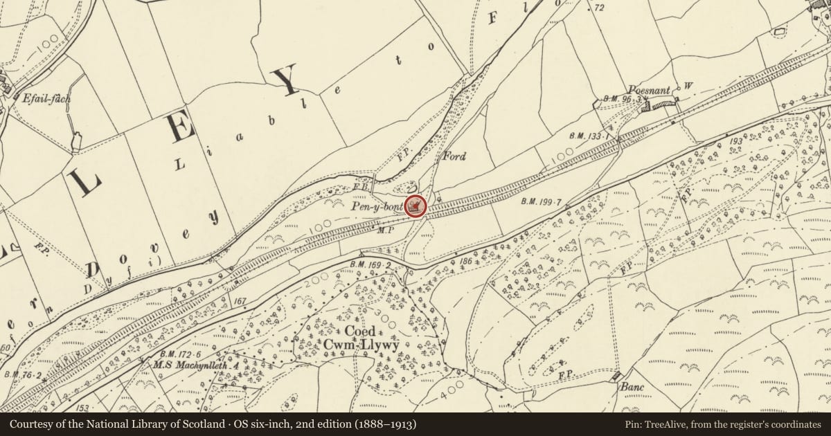 Ordnance Survey six-inch map, 2nd edition (1888–1913) covering the location of Pen y bont, Glantwymyn, Powys, with a pin at the register's coordinates