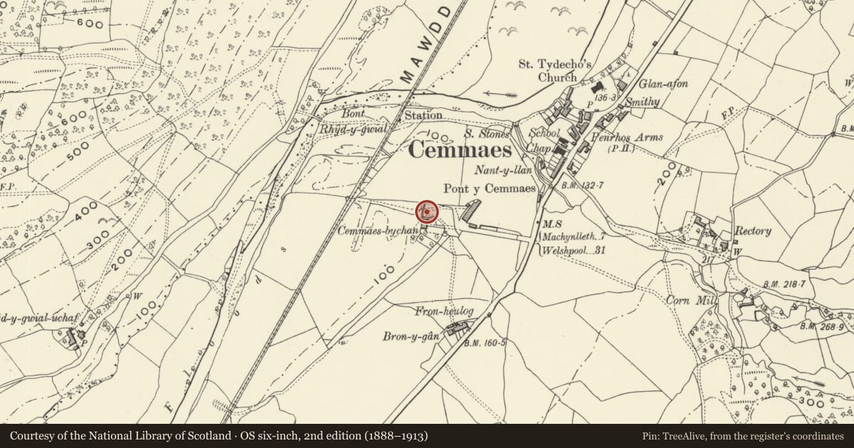 Ordnance Survey six-inch map, 2nd edition (1888–1913) covering the location of Pig Sty at Tan y ffordd, Glantwymyn, Powys, with a pin at the register's coordinates