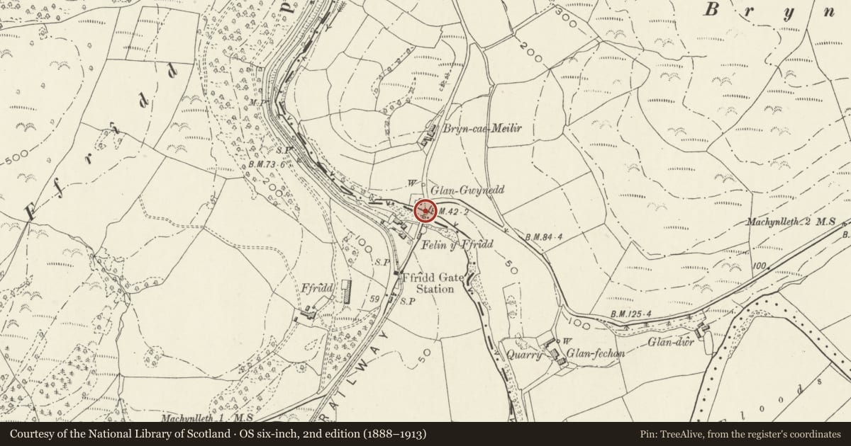 Ordnance Survey six-inch map, 2nd edition (1888–1913) covering the location of Pont Felin y ffridd (partly in Corris Community), Glantwymyn, Powys, with a pin at the register's coordinates