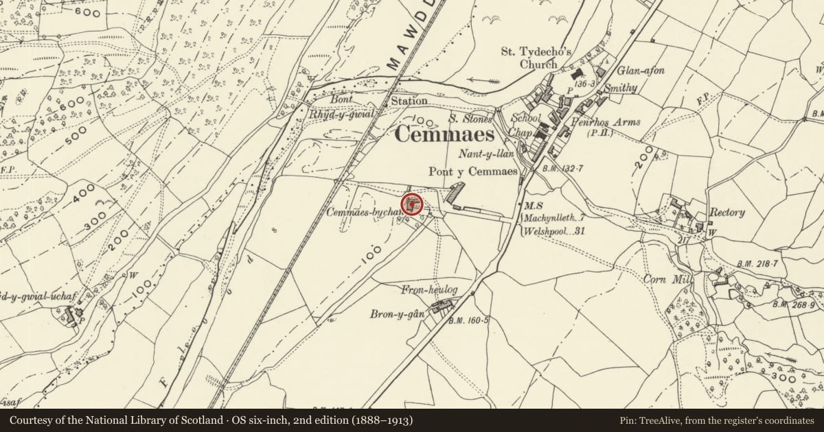 Ordnance Survey six-inch map, 2nd edition (1888–1913) covering the location of Tan y ffordd, Glantwymyn, Powys, with a pin at the register's coordinates
