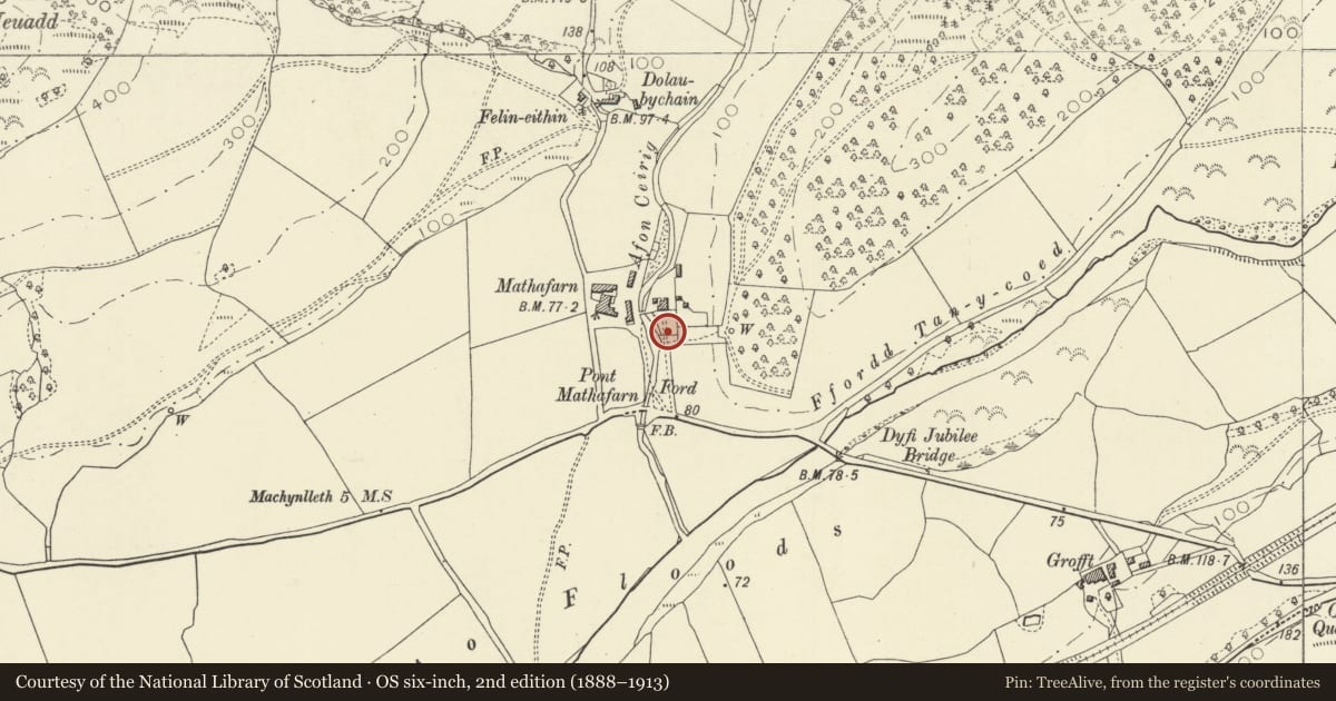 Ordnance Survey six-inch map, 2nd edition (1888–1913) covering the location of Gate piers at Mathafarn, Glantwymyn, Powys, with a pin at the register's coordinates