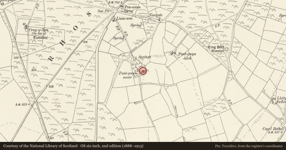 Ordnance Survey six-inch map, 2nd edition (1888–1913) covering the location of Outbuilding at Pantgwyn Mawr, Clydau, Pembrokeshire, with a pin at the register's coordinates