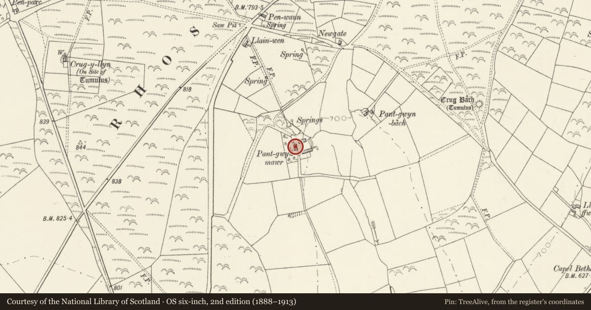 Ordnance Survey six-inch map, 2nd edition (1888–1913) covering the location of Pantgwyn Mawr, Clydau, Pembrokeshire, with a pin at the register's coordinates